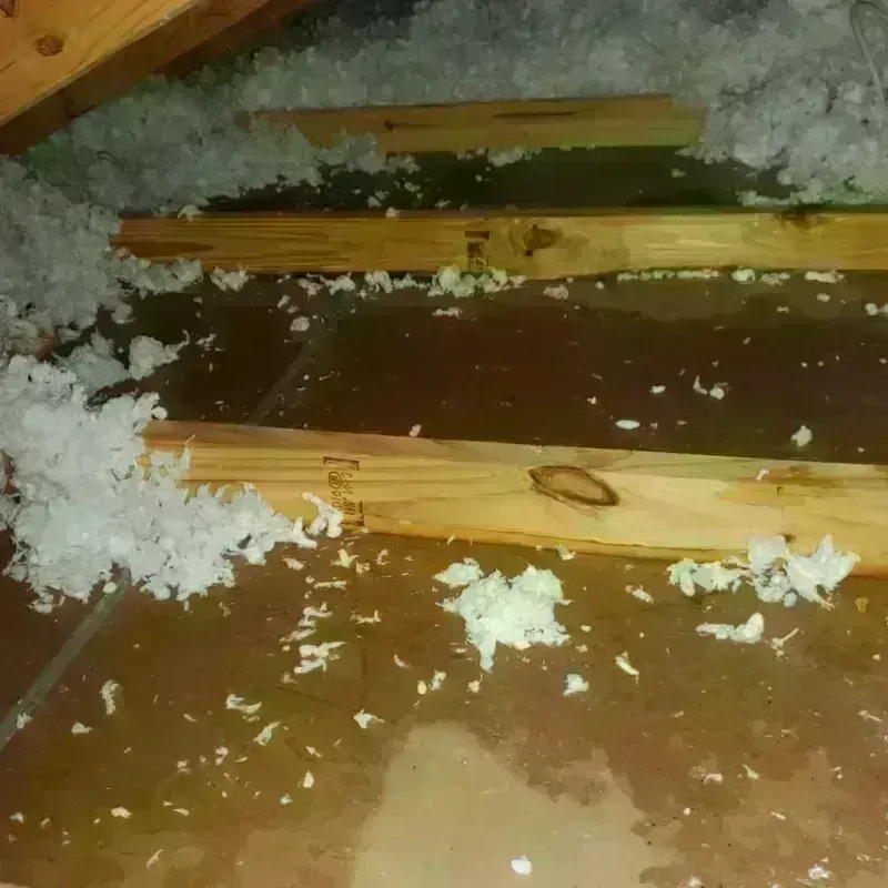 Attic Water Damage in Edgewood, KY